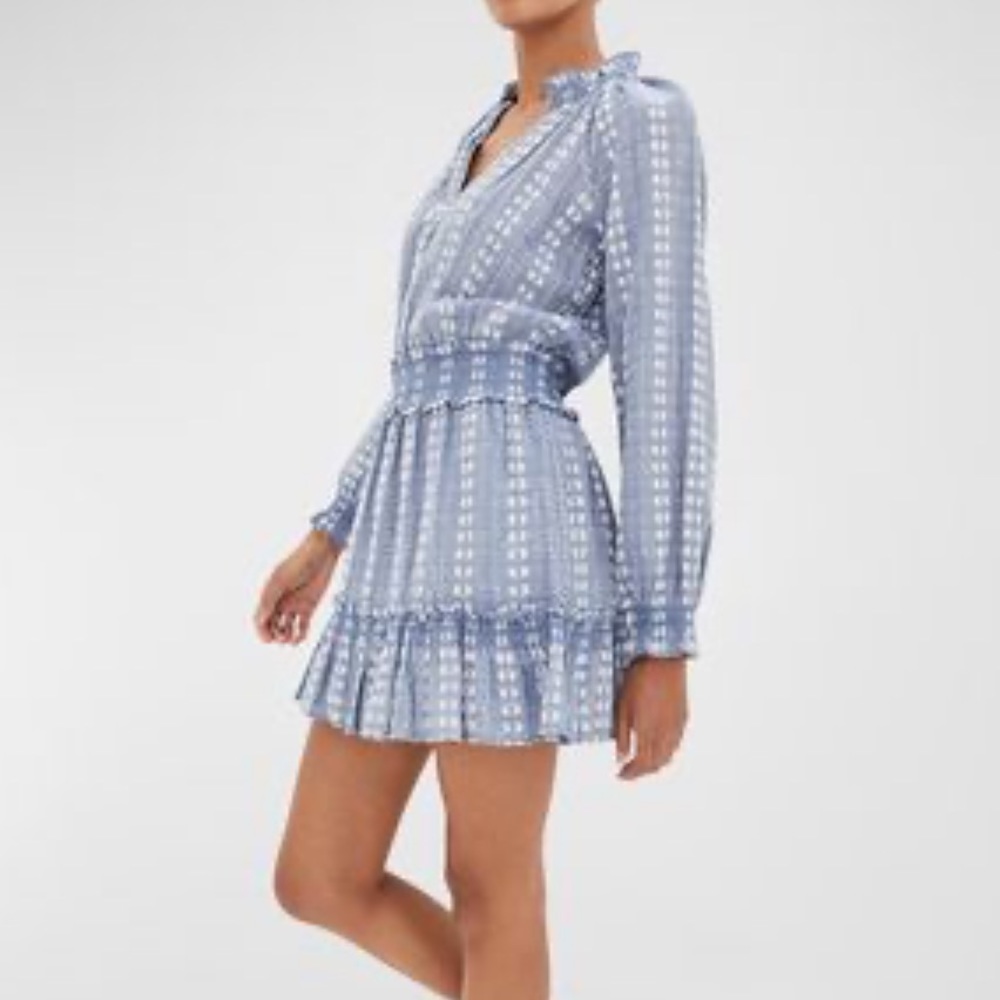 Veronica Beard Espie Embroidered Ruffle Mini Dress M